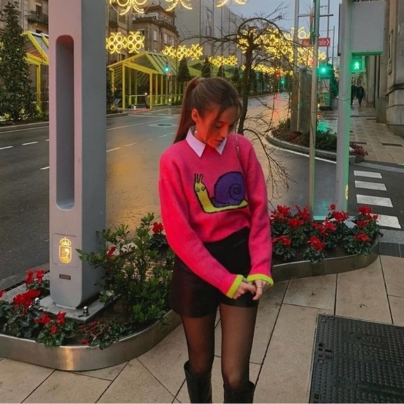 NWT ZARA BLOGGER'S FAVORITE SNAIL PRINT KNIT SWEATER S - Picture 5 of 9